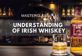 Understanding of Irish Whiskey | 25/02/2025 | MASTERCLASS w MSBiS (zawsze bezpłatne)
